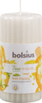 Bolsius sviečka aromatická valec mango 120/58 mm