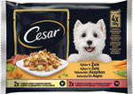 Cesar kapsičky pre dospelých psov: výber v želé 4 x 100 g