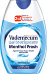 Vademecum 2v1 Menthol Fresh zubná pasta 75 ml