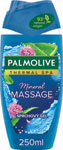 Palmolive sprchovací gel Wellness Massage 250 ml - Teta drogérie eshop