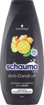 Schauma šampón na vlasy AD Intense 400 ml - Pantene šampón Aqua Light 400 ml | Teta drogérie eshop