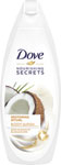 Dove sprchový gél 500 ml Restoring