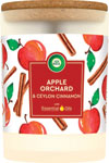 Air Wick vonná sviečka Essential Oils Apple Orchard & Ceylon Cinnamon 185 g - Teta drogérie eshop
