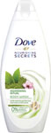 Dove sprchový gél 500 ml Matcha Tea & Sakura