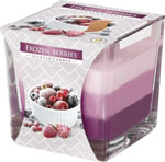 Bispol Tricolor sviečka Mrazené ovocie 170 g - Vonná sviečka Lavender repelentná 170 g | Teta drogérie eshop