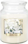 Bispol sviečka veľká Biele kvety 500 g - Sviečka Bolsius vianoč.v.130/68 zl.čipka | Teta drogérie eshop
