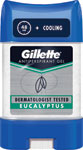 Gillette gelový antiperspirant a dezodorant Eucalypt 70 ml  - Rexona antiperspirant stick 50 ml MEN Fresh & Power | Teta drogérie eshop