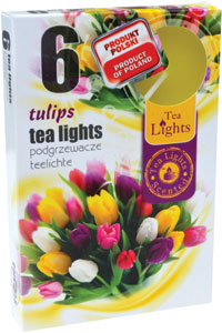 Kahanec čajový tulipán 6 ks - Teta drogérie eshop