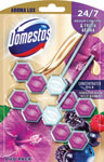 Domestos WC blok AromaLux Wild Berries & Hibiscus oil 2x55 g