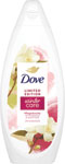 Dove sprchový gél Winter 250 ml