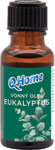 Q-Home vonný olej eukalyptus 18 ml - Teta drogérie eshop