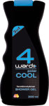 4ward pánsky sprchový gél Polar Cool 300 ml