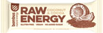 Bombus Raw Energy ovocná tyčinka Kokos & Kakao 50 g - Teta drogérie eshop