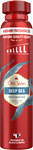 Old Spice dezodorant Deap sea 250 ml - Teta drogérie eshop