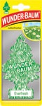 Osviežovač vzduchu Wunder-baum Everfresh 1 ks