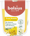 Bolsius sviečka aromatická Mimosa 25 hodinová