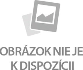 Elnett Extra Strong Hold lak na vlasy 300 ml