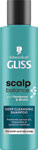 Gliss šampón Scalp Balance Deep Cleanser 200 ml
